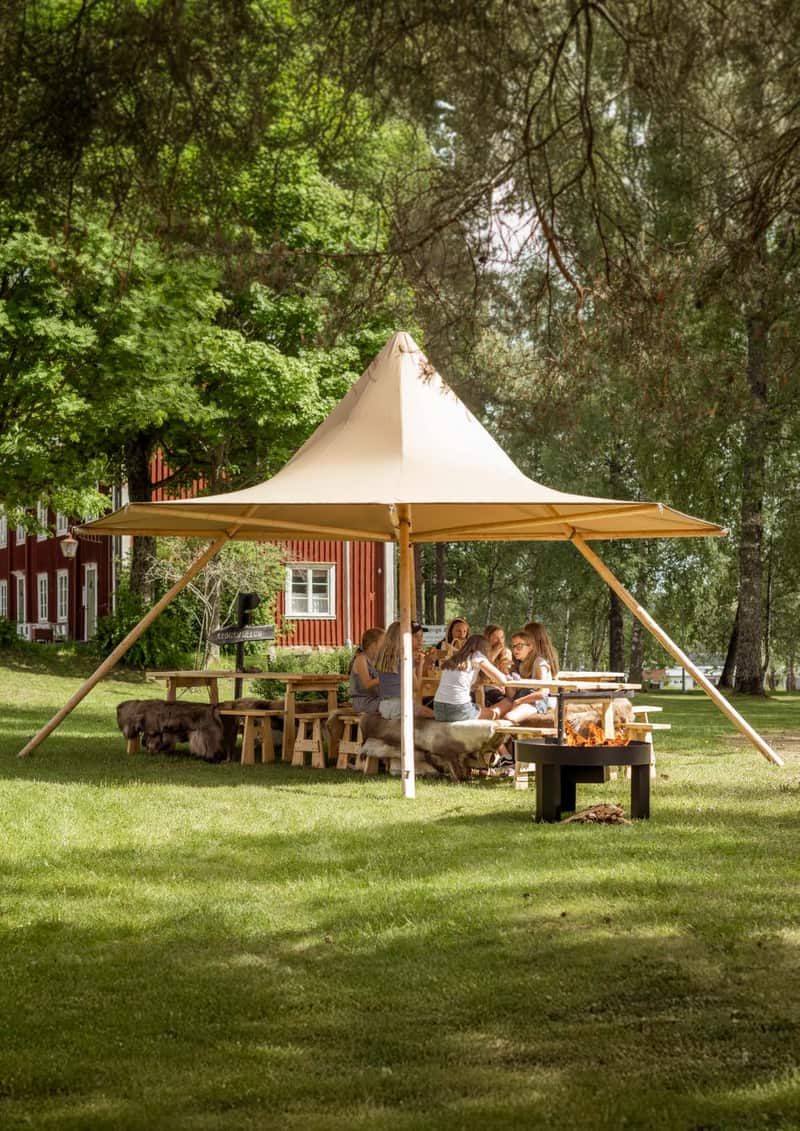 Nimbus tipitent open opgesteld in zomerse tuin