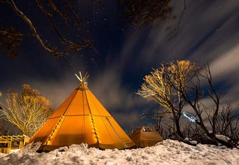 Stratus tipitent in winterse sneeuwsetting